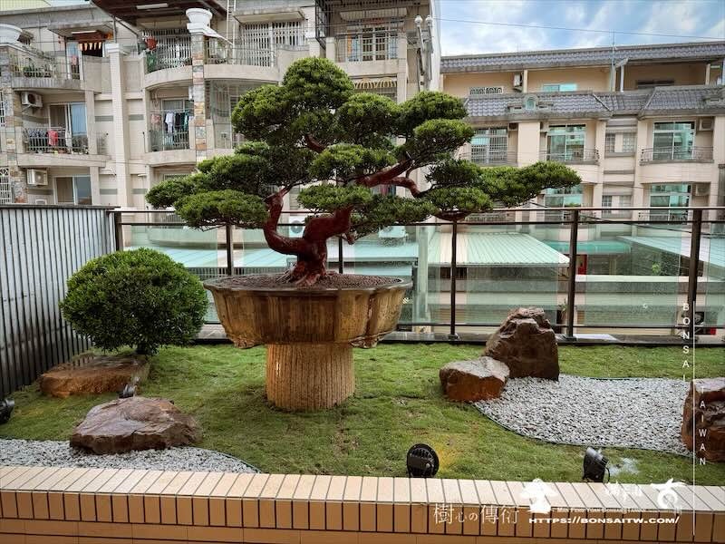 img 6220 我們的作品]庭園設計-案0226 露台造景