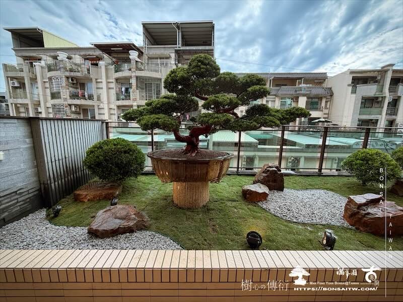 img 6225 我們的作品]庭園設計-案0226 露台造景