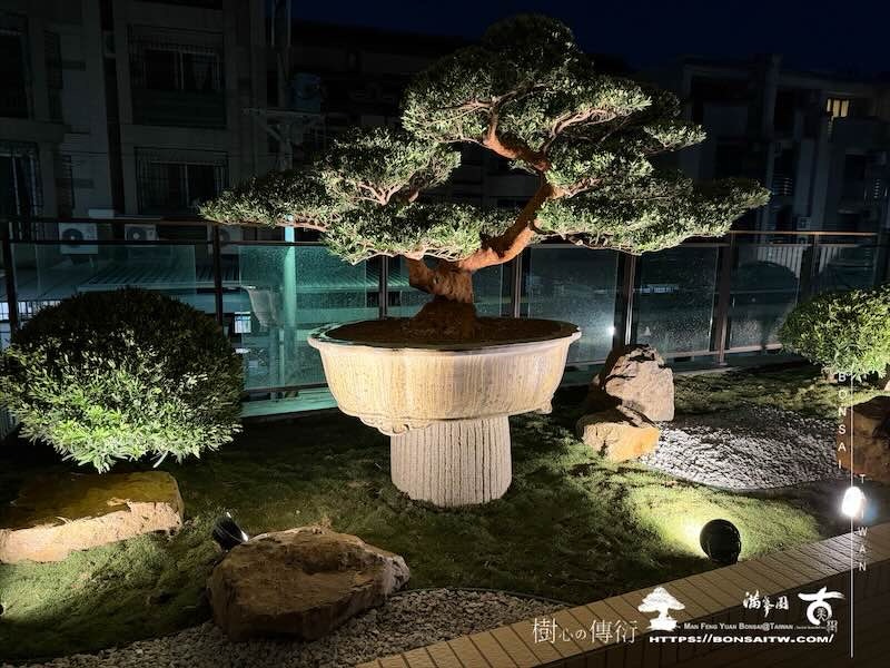 img 6249 我們的作品]庭園設計-案0226 露台造景