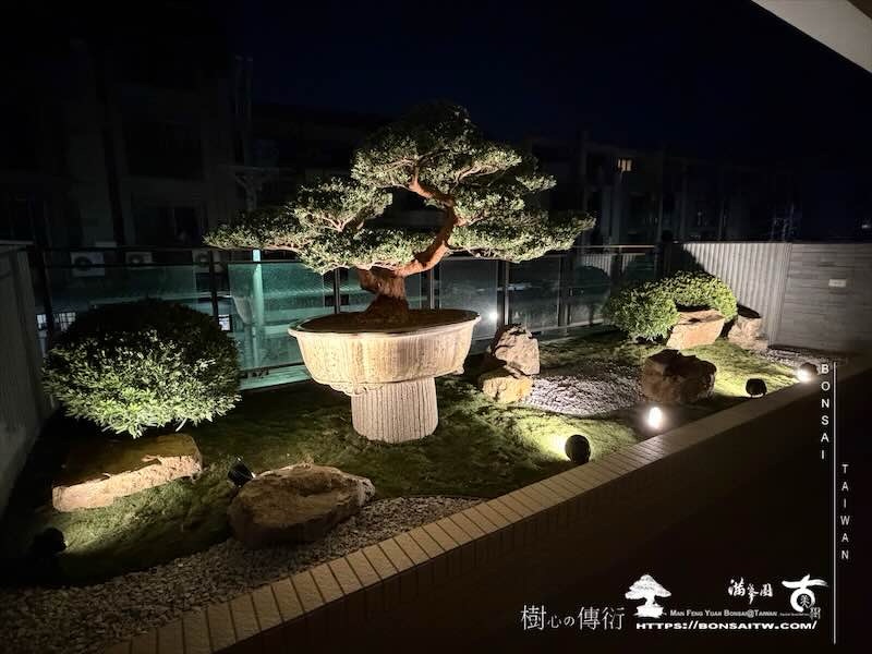 img 6250 我們的作品]庭園設計-案0226 露台造景