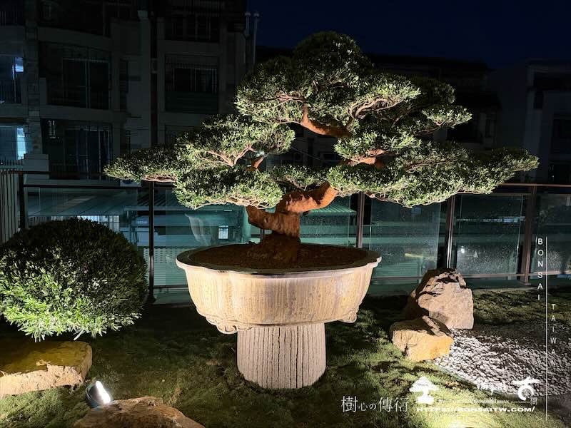 img 6253 我們的作品]庭園設計-案0226 露台造景