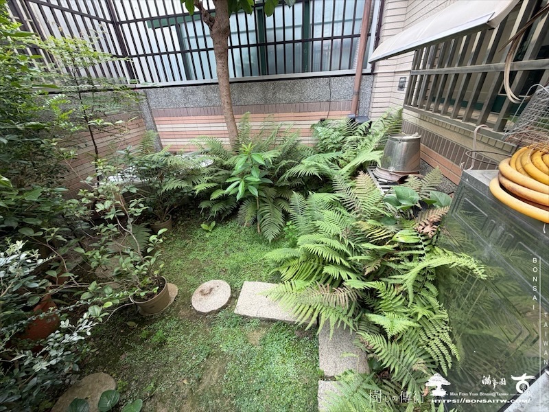 img 7640 [我們的作品]庭園設計-案0504 客戶案例