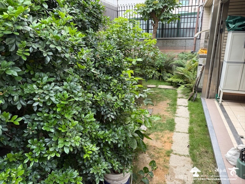 img 7642 [我們的作品]庭園設計-案0504 客戶案例