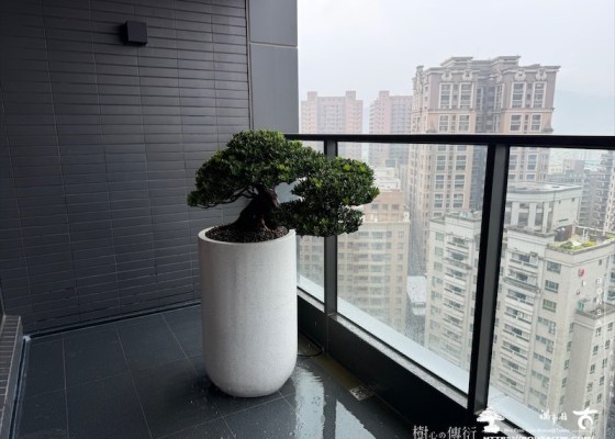 img 7677 [我們的作品]露台佈置-案0425 客戶案例