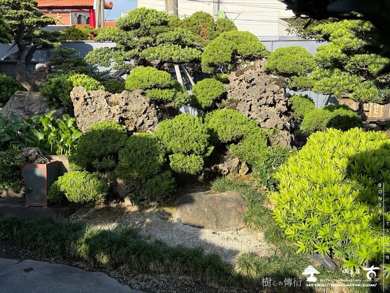 img 8351 [附石盆景]大附石系列(051801) 我們的作品(Our Design)