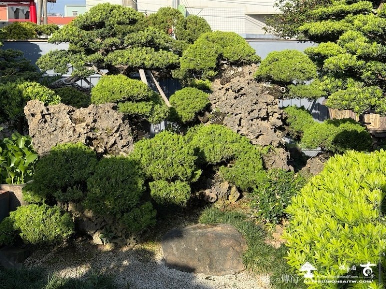 img 8353 [附石盆景]大附石系列(051801) 我們的作品(Our Design)