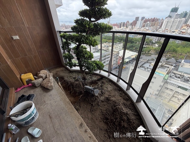 img 0127 [我們的作品]庭園設計-案0603 露台造景