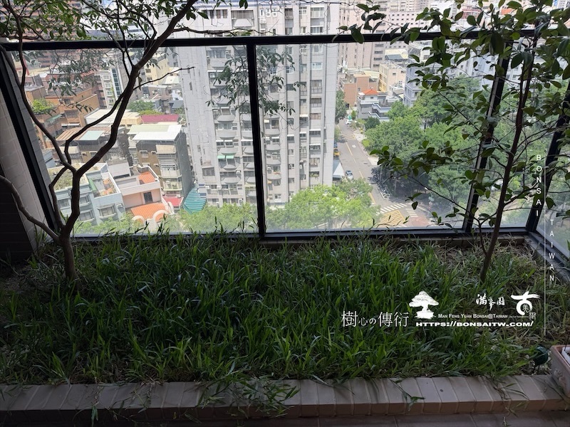 img 2492 [我們的作品]露台景觀設計-案260612 露台造景