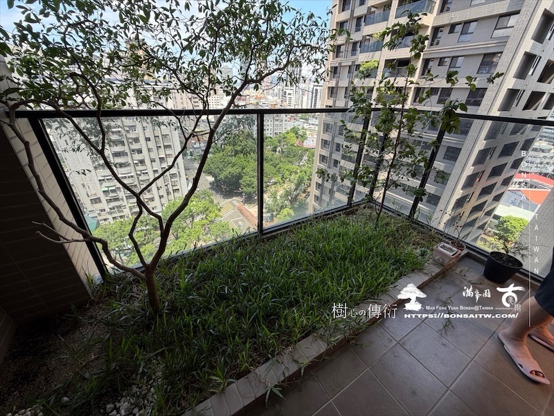 img 2495 [我們的作品]露台景觀設計-案260612 露台造景