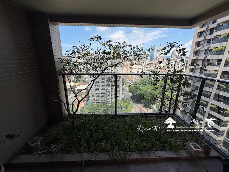 img 2496 [我們的作品]露台景觀設計-案260612 露台造景