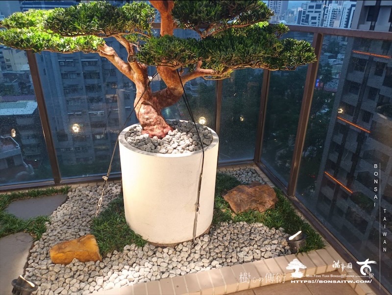 img 2506 [我們的作品]露台景觀設計-案260612 露台造景
