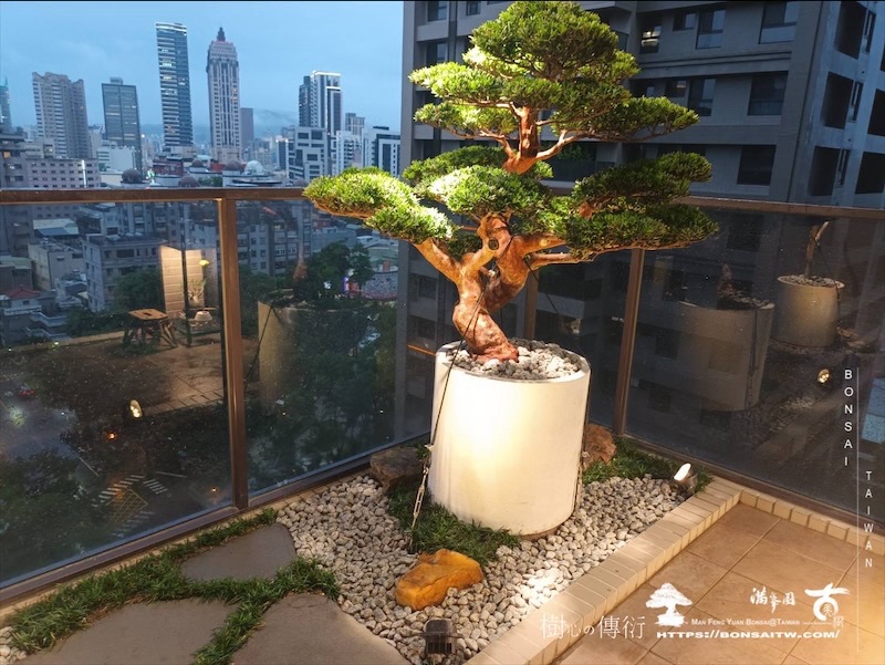 img 2507 [我們的作品]露台景觀設計-案260612 露台造景