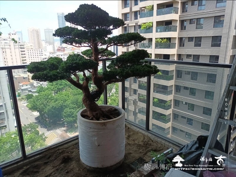 img 2511 [我們的作品]露台景觀設計-案260612 露台造景