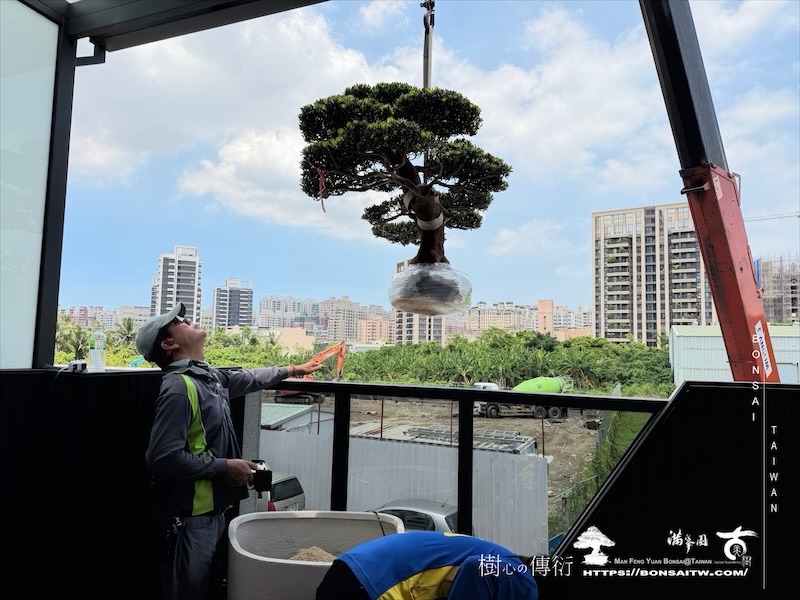 img 3793 [我們的作品]露台景觀設計-案260630 露台造景