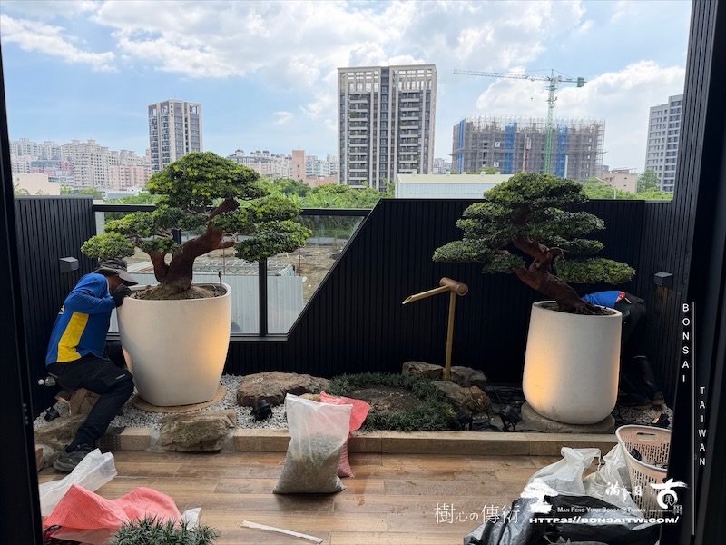 img 3799 [我們的作品]露台景觀設計-案260630 露台造景