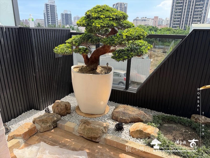 img 3800 [我們的作品]露台景觀設計-案260630 露台造景
