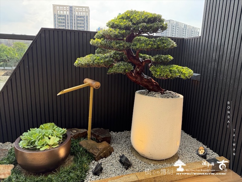 img 3804 [我們的作品]露台景觀設計-案260630 露台造景