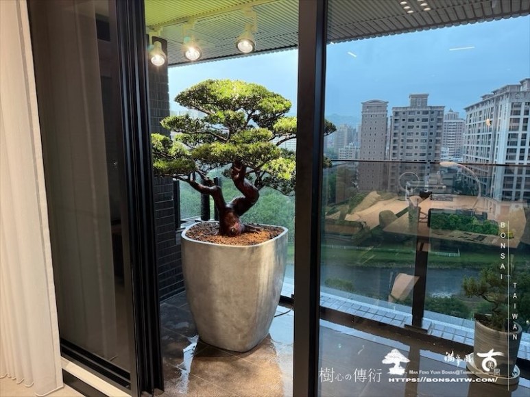 img 0781 [我們的作品]露台景觀，大型盆栽佈置-案0821 露台造景