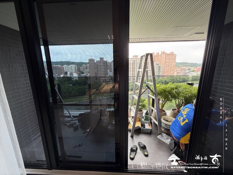 img 0790 [我們的作品]露台景觀，大型盆栽佈置-案0821 露台造景