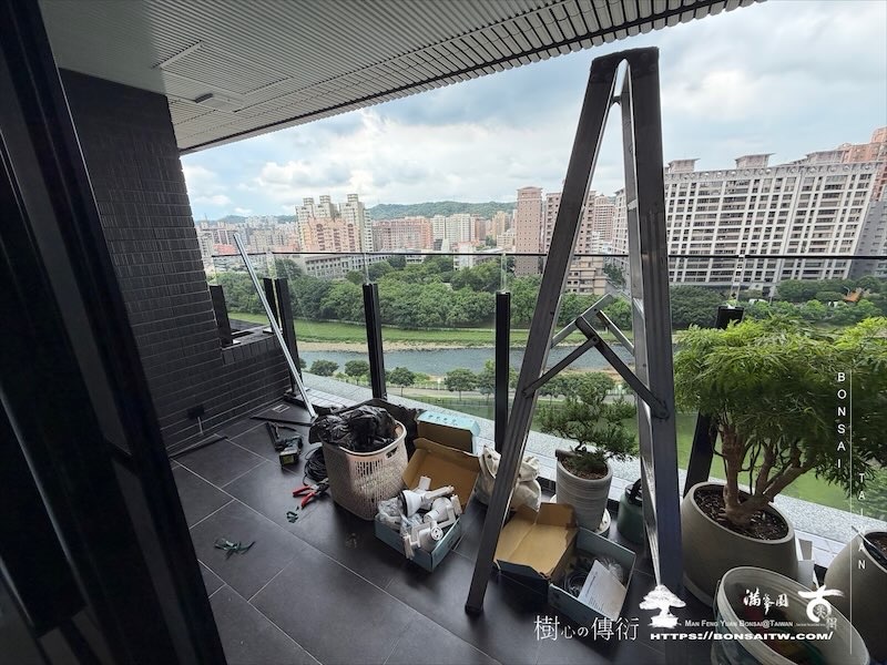 img 0791 [我們的作品]露台景觀，大型盆栽佈置-案0821 露台造景