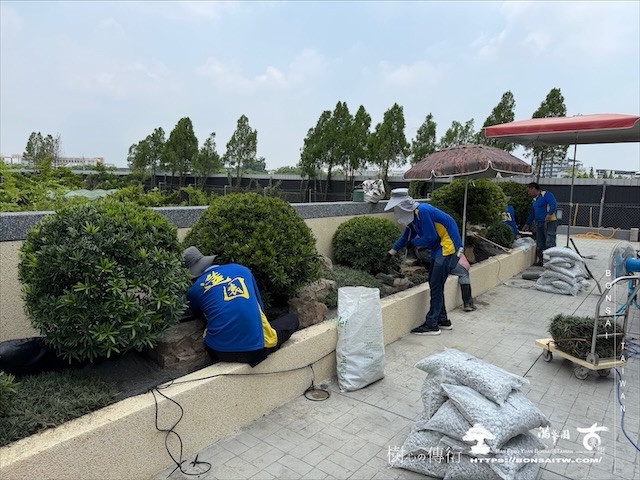 img 8491 [我們的作品]大型景觀花台設計-案0805 露台造景