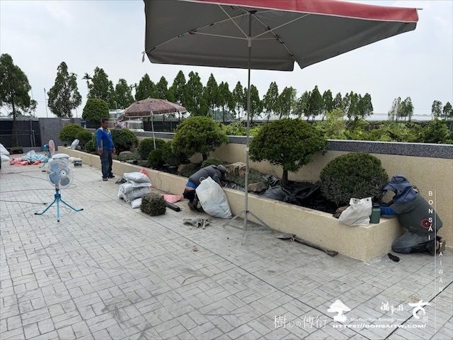 img 8493 [我們的作品]大型景觀花台設計-案0805 露台造景