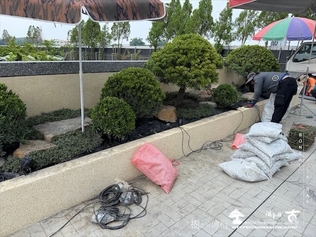 img 8494 1 [我們的作品]大型景觀花台設計-案0805 露台造景