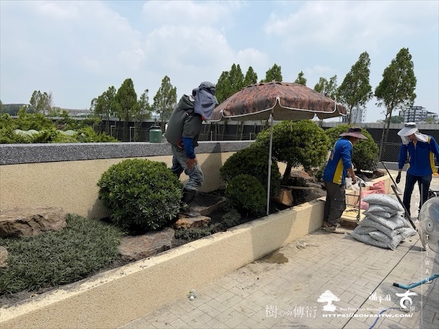 img 8501 1 [我們的作品]大型景觀花台設計-案0805 露台造景