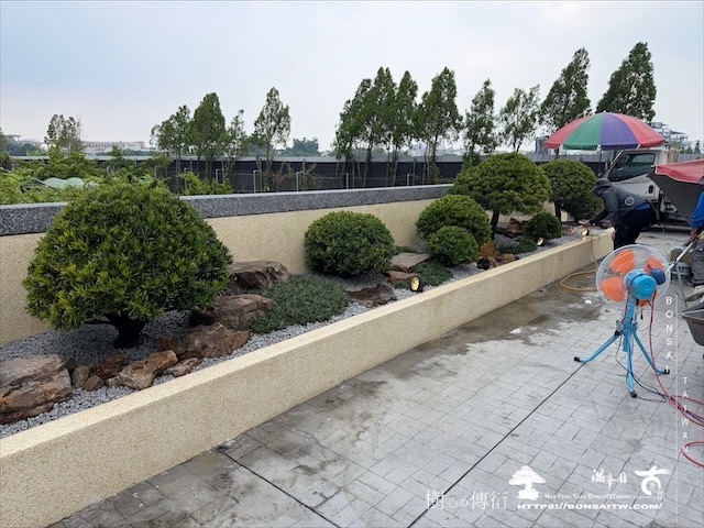 img 8507 [我們的作品]大型景觀花台設計-案0805 露台造景