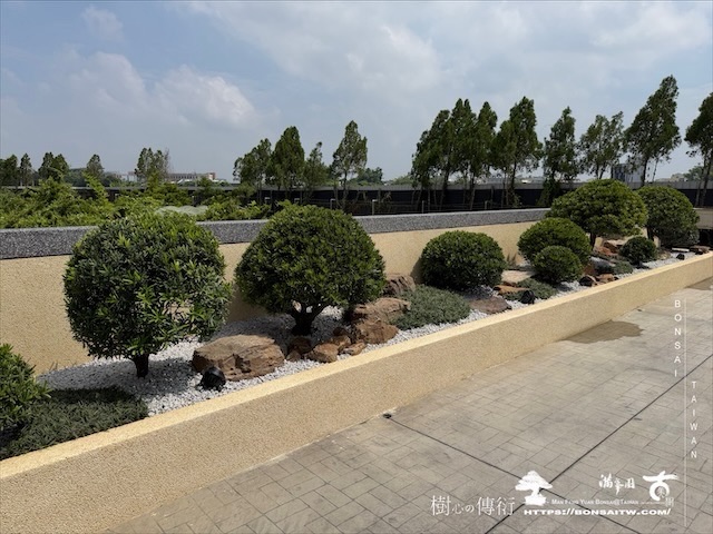 img 8510 [我們的作品]大型景觀花台設計-案0805 露台造景