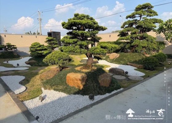 img 8676 [我們的作品]庭園設計-案020201 客戶案例