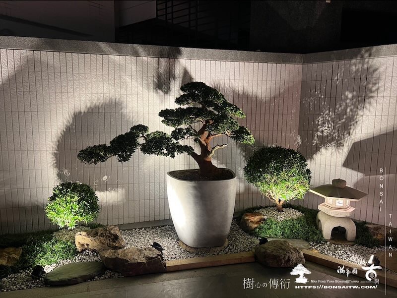 img 1602 [我們的作品]庭園設計-案0904 盆栽(Bonsai)