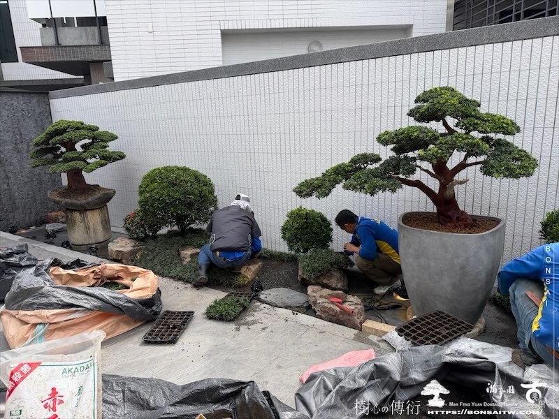 img 1617 [我們的作品]庭園設計-案0904 盆栽(Bonsai)