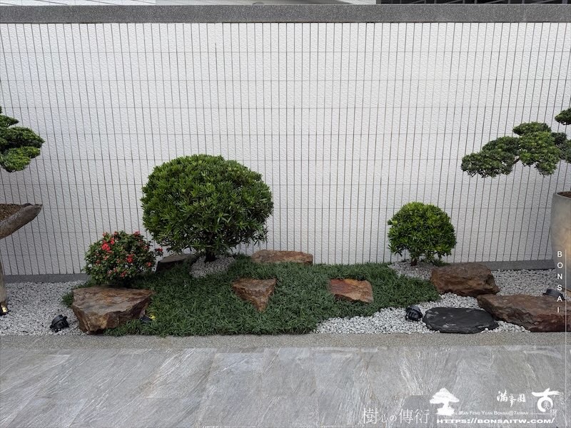 img 1633 [我們的作品]庭園設計-案0904 盆栽(Bonsai)