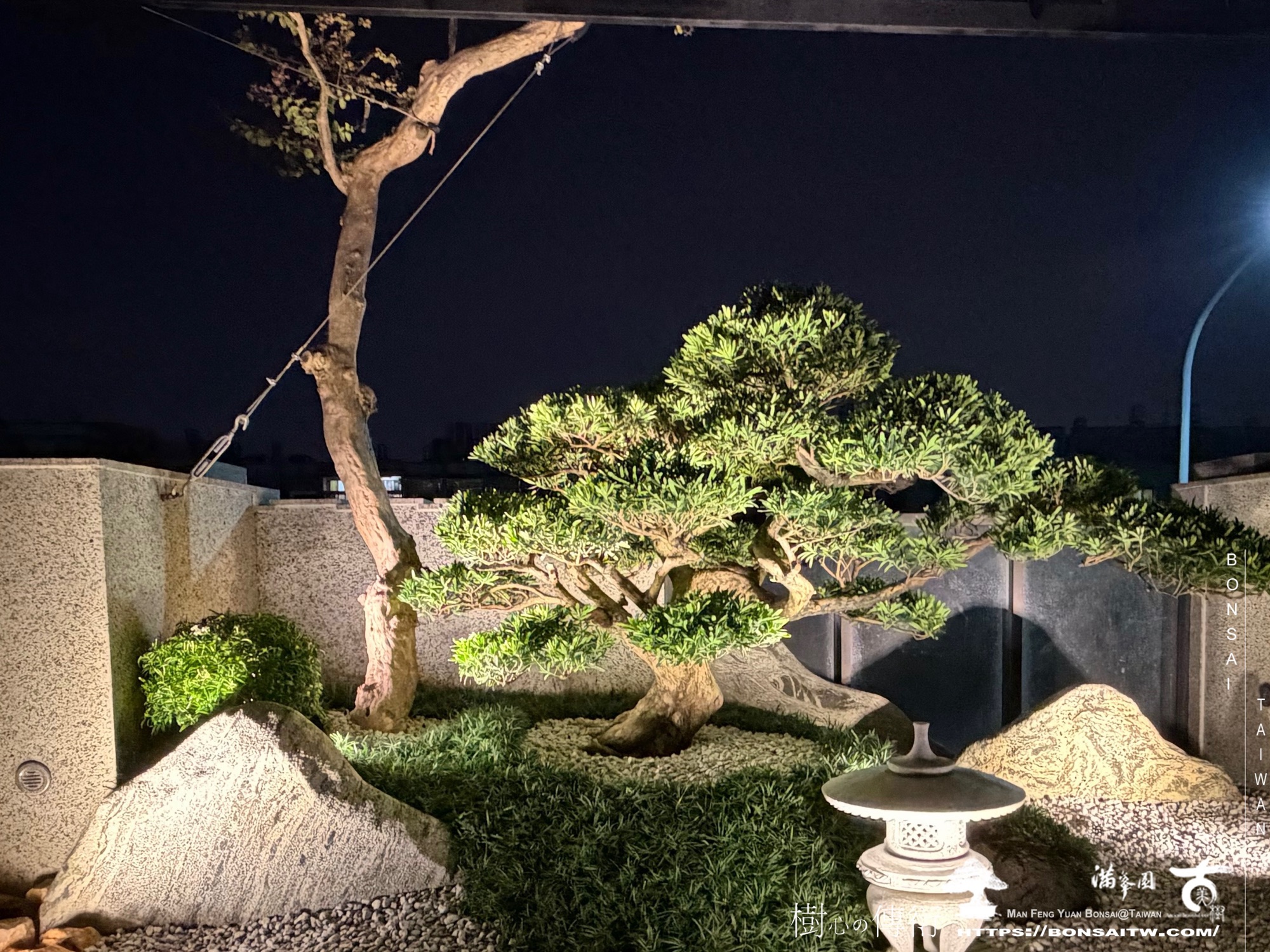 img 2361 [我們的作品]庭園改造-案0910 客戶案例