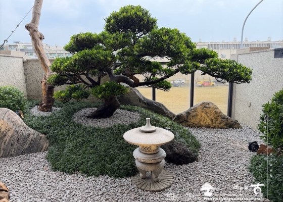 img 2617 [我們的作品]庭園改造-案0910 客戶案例