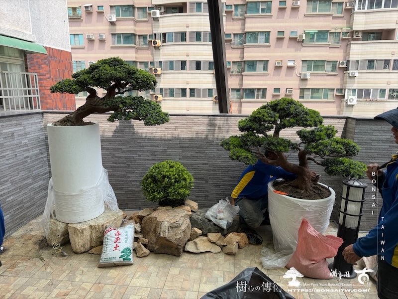 img 3636 [我們的作品]大型露台景觀改造-案0916 露台造景