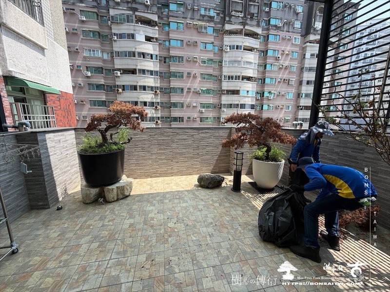 img 3647 [我們的作品]大型露台景觀改造-案0916 露台造景