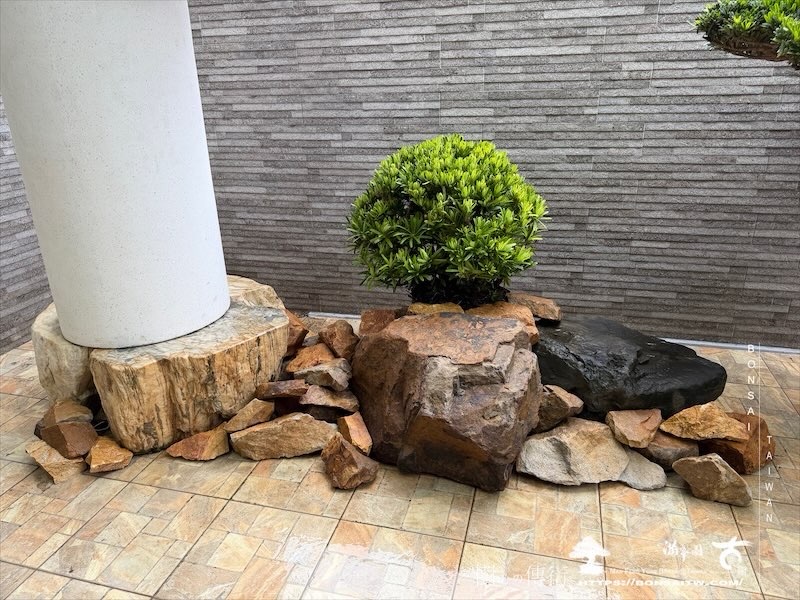 img 3648 [我們的作品]大型露台景觀改造-案0916 露台造景