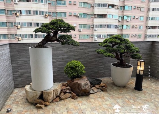 img 3652 [我們的作品]大型露台景觀改造-案0916 客戶案例