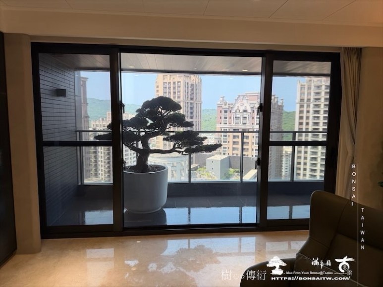 img 4531 [我們的作品]露台景觀，超大型盆栽佈置-案0925 盆栽(Bonsai)