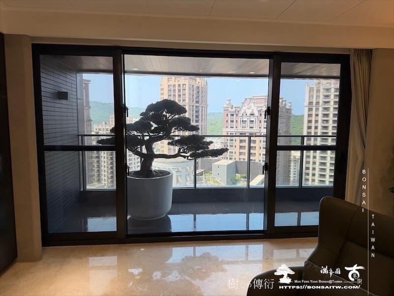 img 4531 [我們的作品]露台景觀，超大型盆栽佈置-案0925 盆栽(Bonsai)